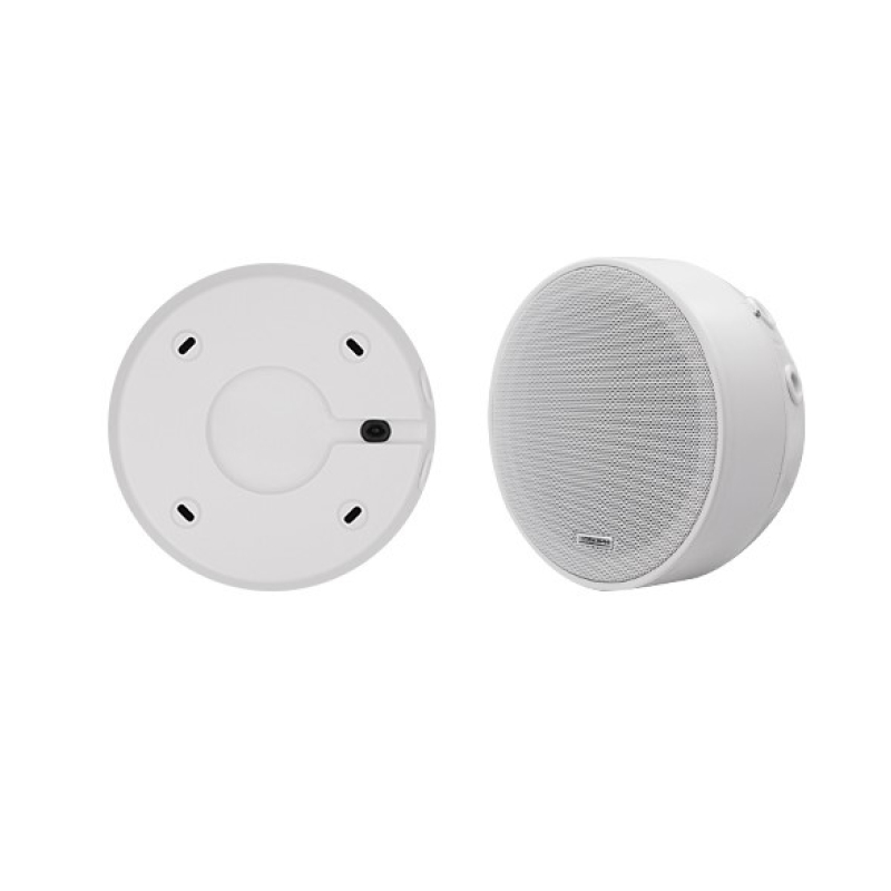 Dsppa dsp5311 6.5 inch surface mount ceiling speaker