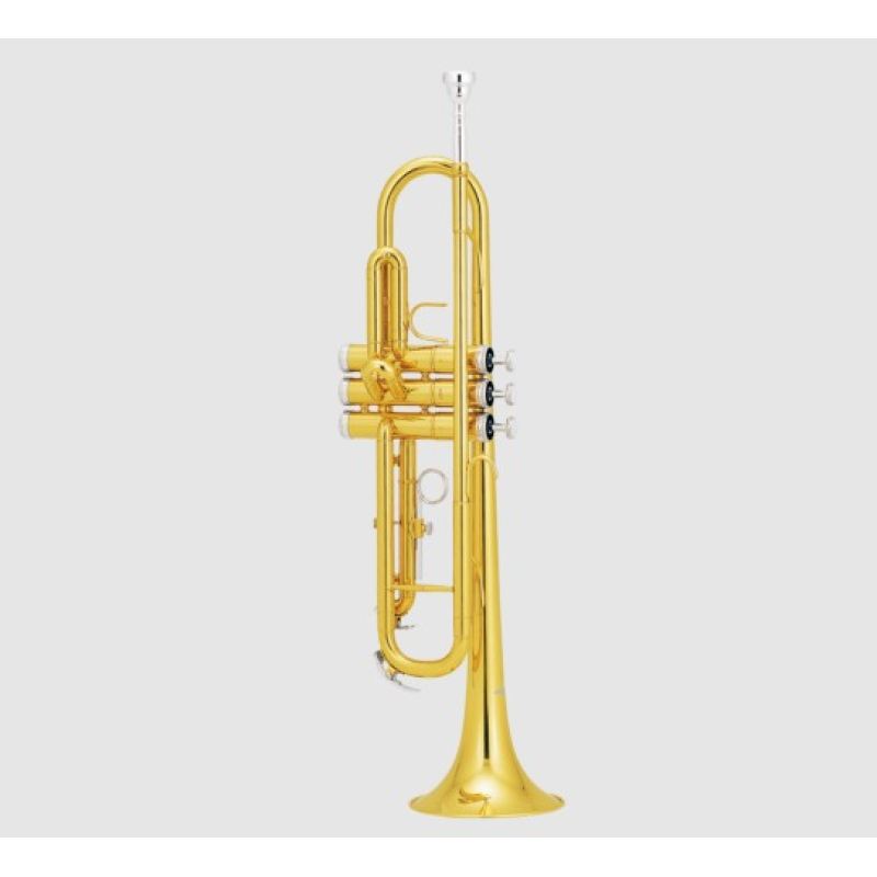 Jd percussion gold trumpet  jdtr300l