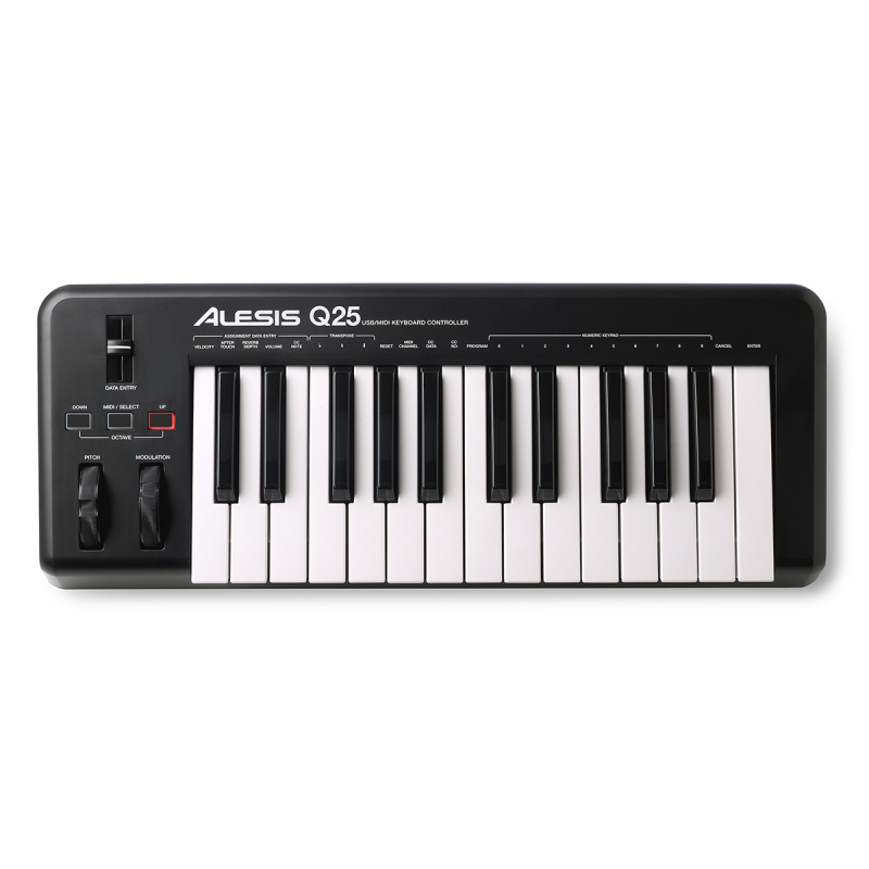 Alesis q25