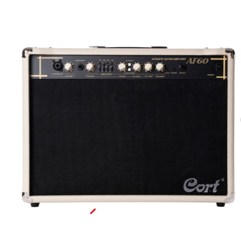 Cort acoustic guitar amplifier 2 x3