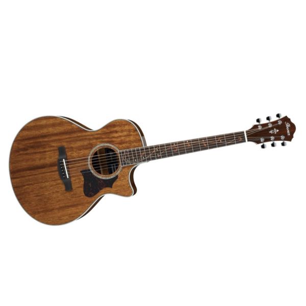 Ibanez AE245-Nt Acoustic-electric Guitar