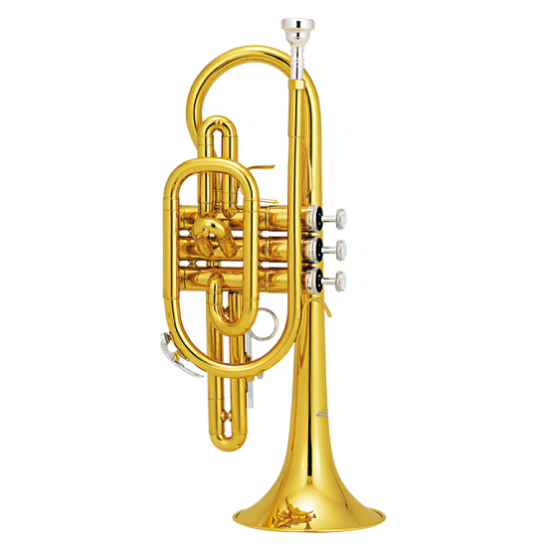 Jinbao cornet gold jbcr-900l
