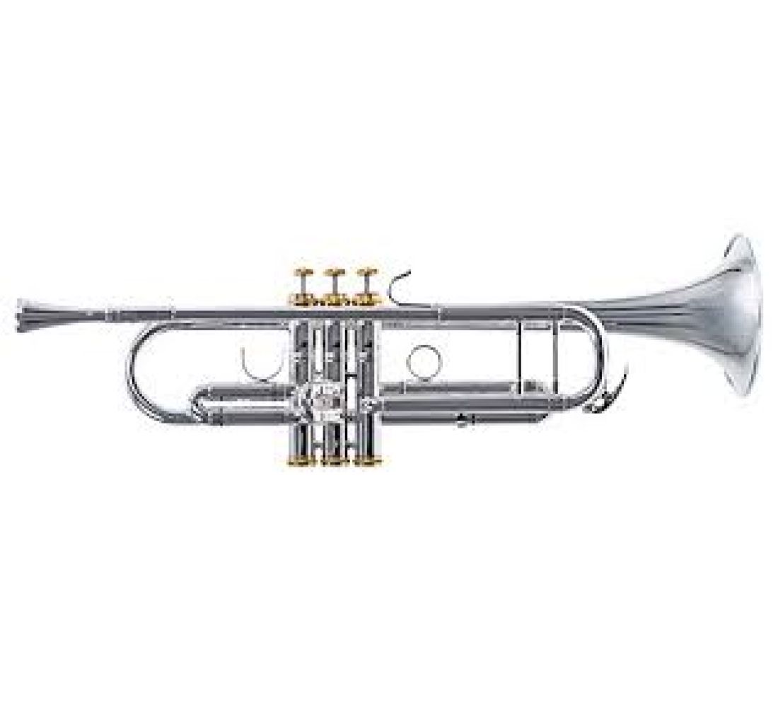 Mason al310n trumpet + case