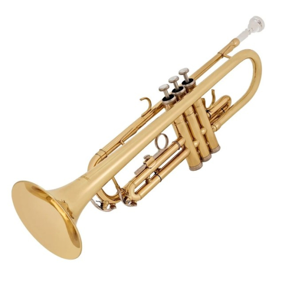Mason trumpet case bb laq+case al310l