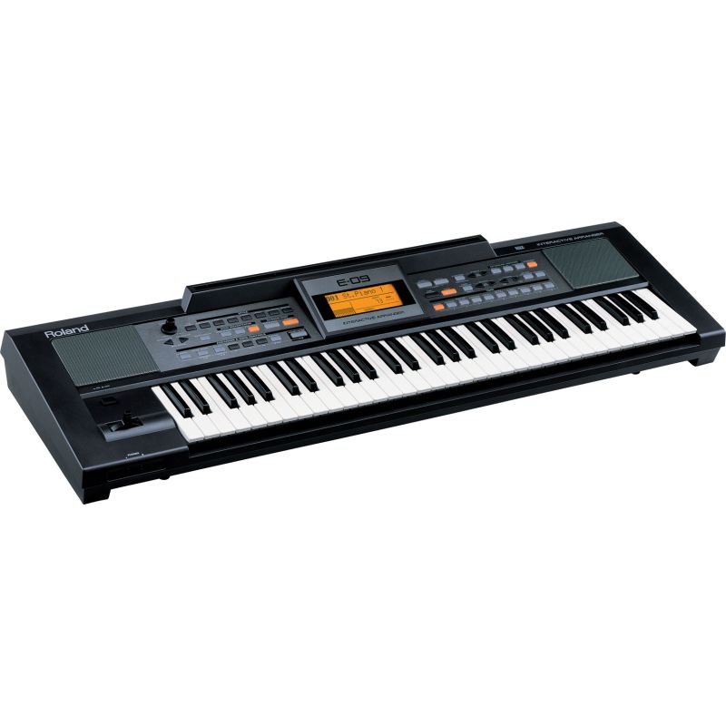 Roland E-09 Keyboard