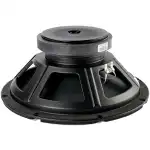 Redcatt 121FIND 12" Loose Speaker - Image 2