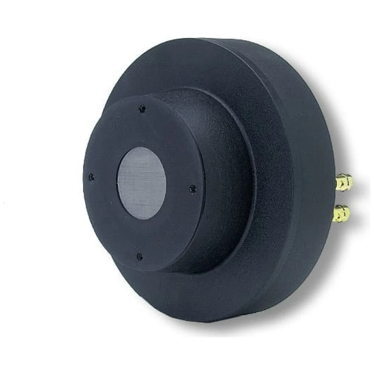 P-AUDIO PA-D72