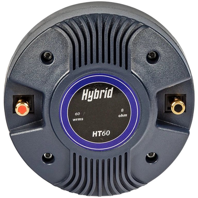 HT-60