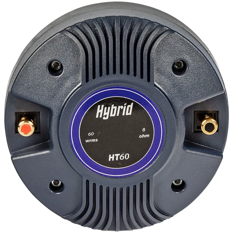 HT-60