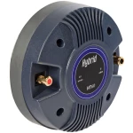HT-60