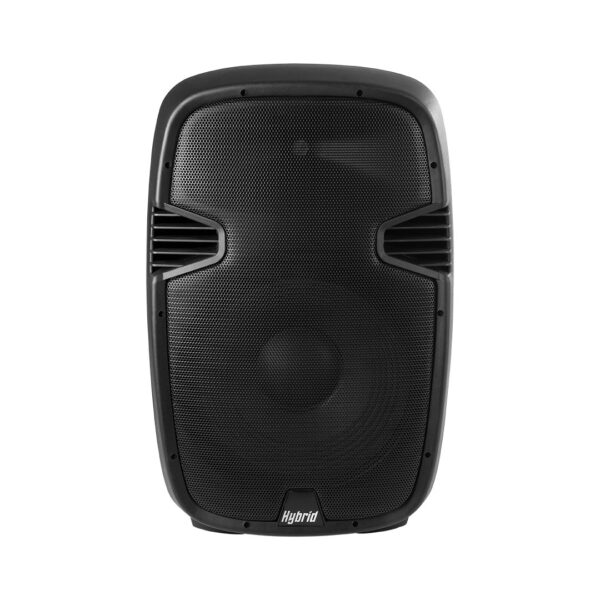 VIVSPEHYB053-2-600x600 Hybrid PM15 15" Passive Speaker - Image 1