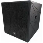 Lane Pro LS118 Passive Subwoofer