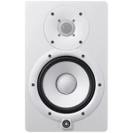 HS8 (White)