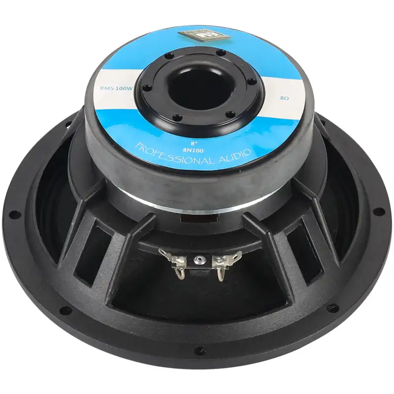 N9 Audio 8N100 100W Loose Speaker