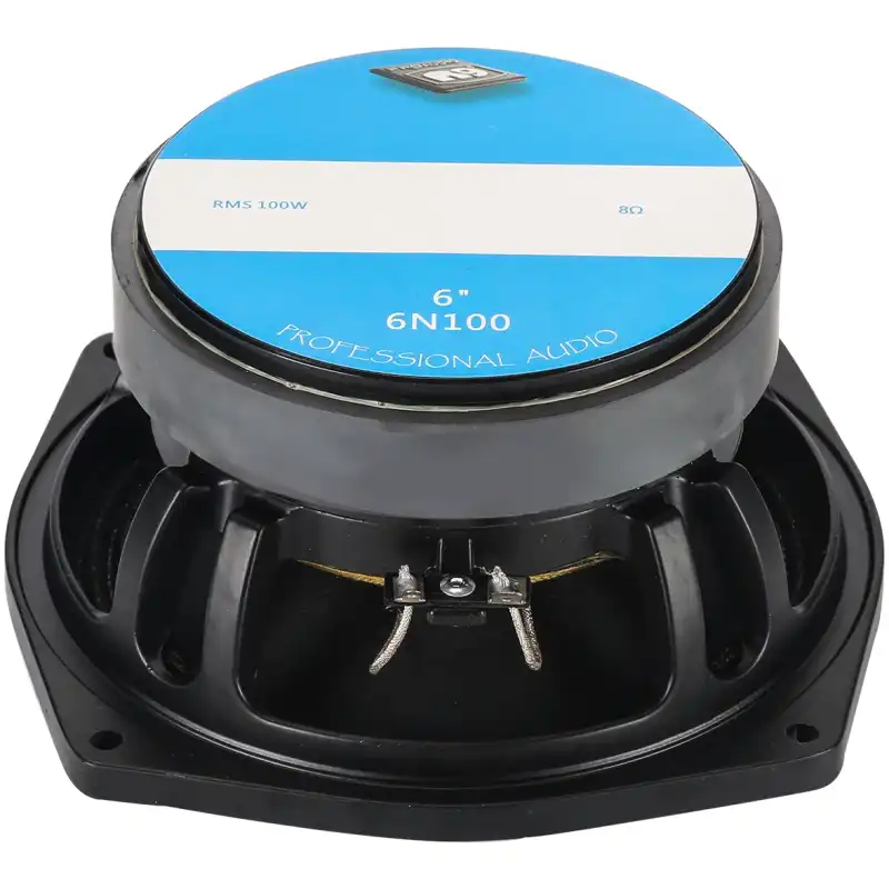 N9 Audio 6N100 100W Loose Speaker