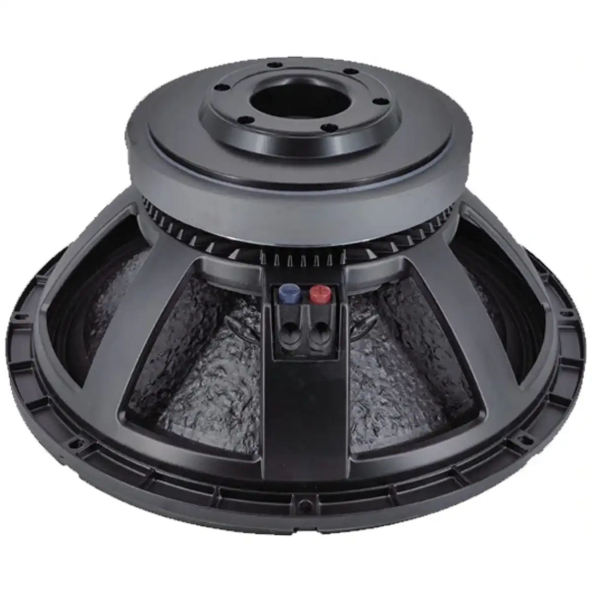 N9 Audio 8N100 100W Loose Speaker - Image 2