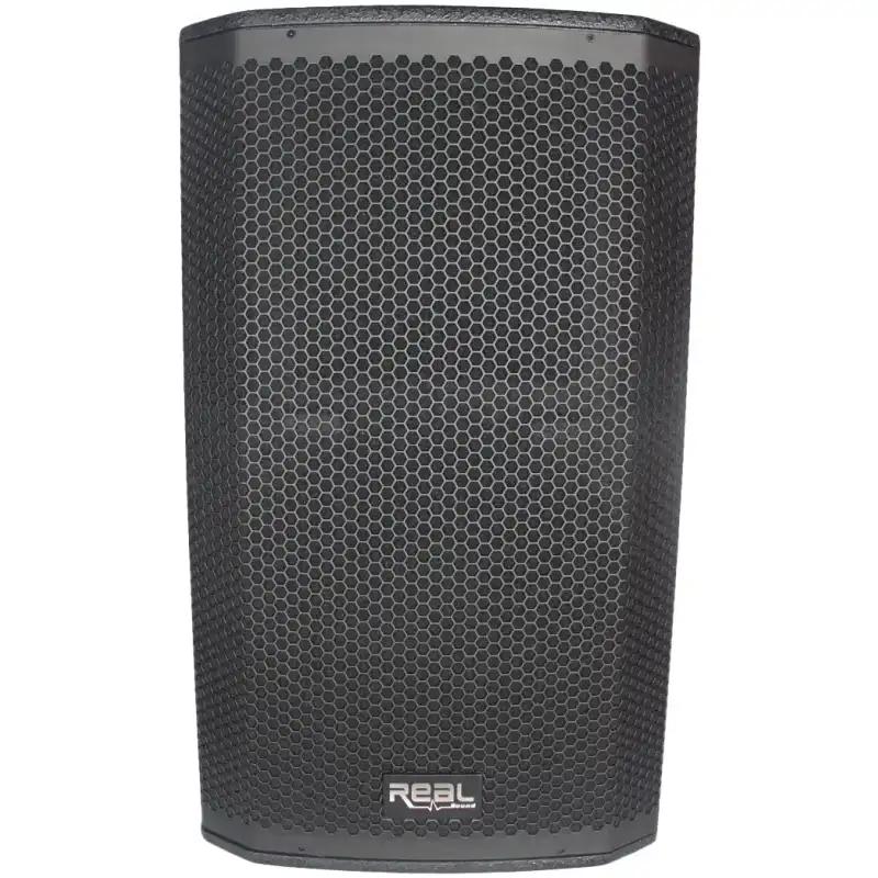 Real Sound MS-12/2+ 12" Full Range Passive Speaker