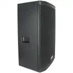 Real Sound MS-12/2+ 12" Full Range Passive Speaker - Image 2