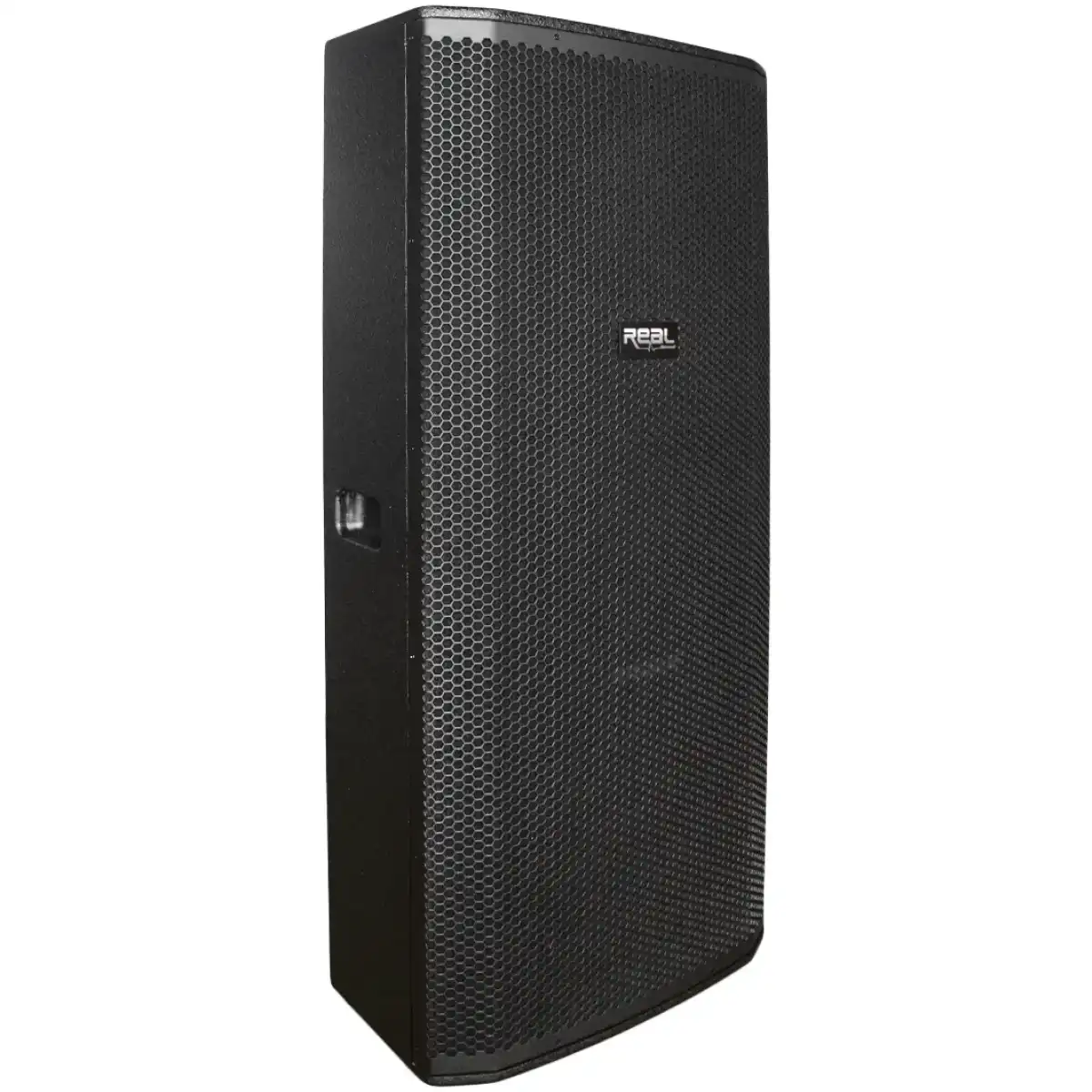 Real Sound MS-215/2+ 15″ Dual Passive Speaker - Image 2