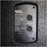 Real Sound MS-215/2+ 15″ Dual Passive Speaker - Image 5
