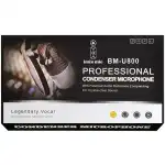 Imix BM-U800 USB Condenser Microphone Set - Image 5