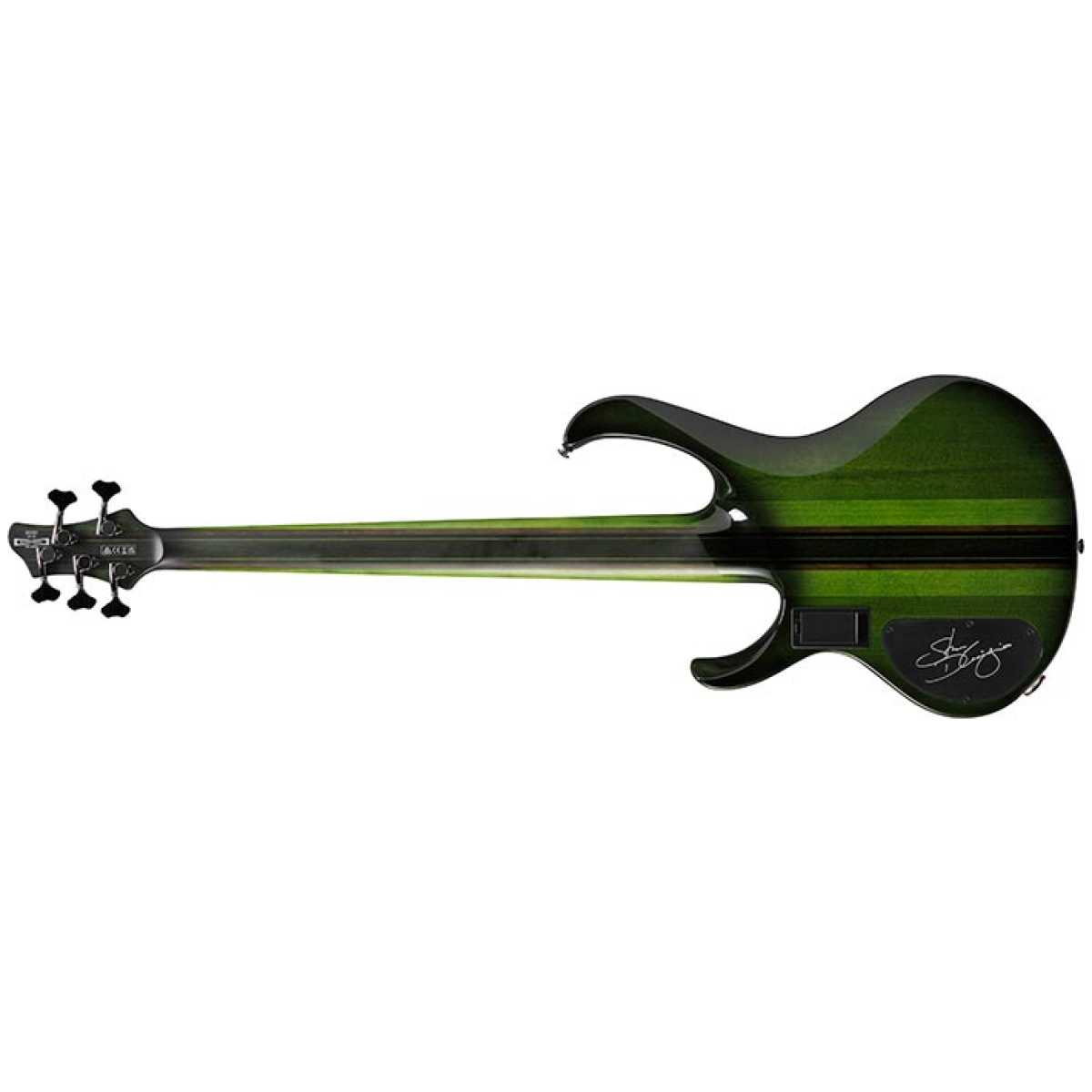 Ibanez SDGB1 5-String Fretless Bass Guitar - Image 2
