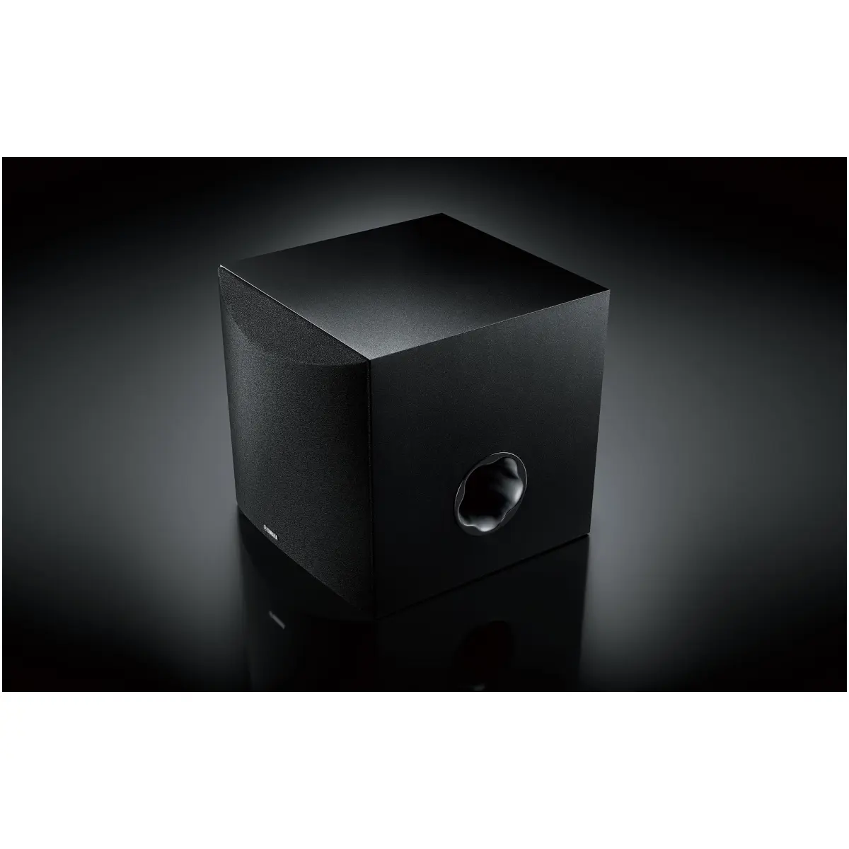 KS-SW100