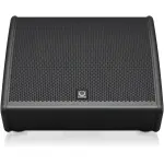 Turbo Sound TFX-152M-AN Co-axial 1,100 Watt 2 Way 15" Stage Monitor