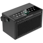 Swiss Audio S100 Multifunction Musical Instrument Speaker - Image 2