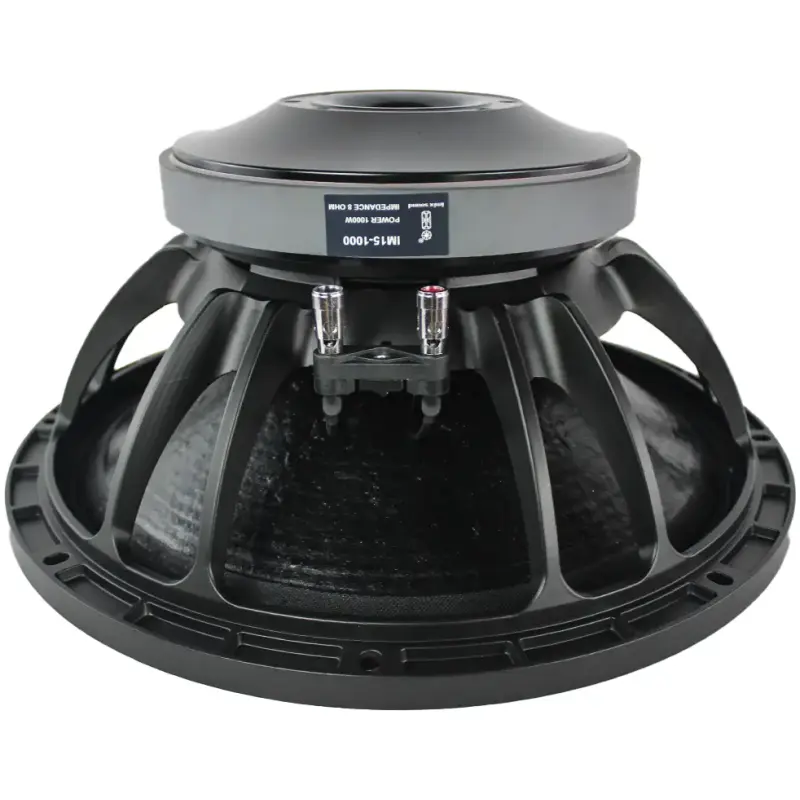 Imix IM151000 1000W Loose Speaker