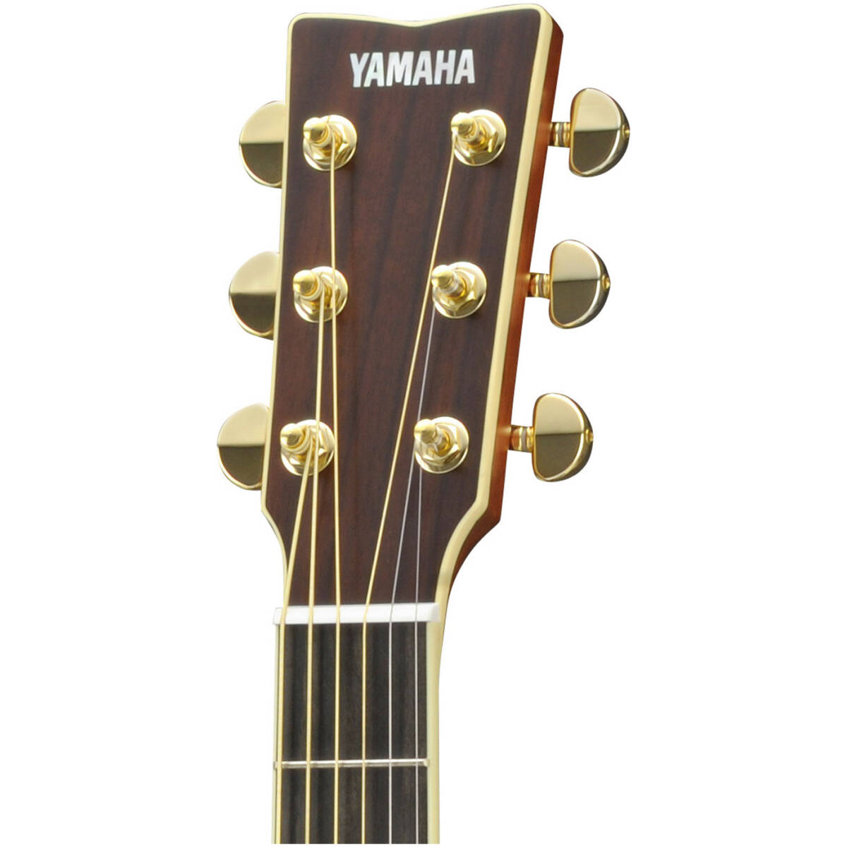 Yamaha LJ16 ARE DT Acoustic Guitar - Image 3