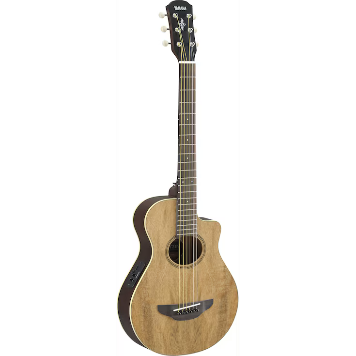 3D4044C36B894D809425D480C08EB4C3_12073_tcm113-1644350 Yamaha APXT2EW NT Thinline Acoustic-electric Guitar - Image 1