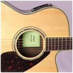 Yamaha FSX830C NT Concert Guitar - Image 3