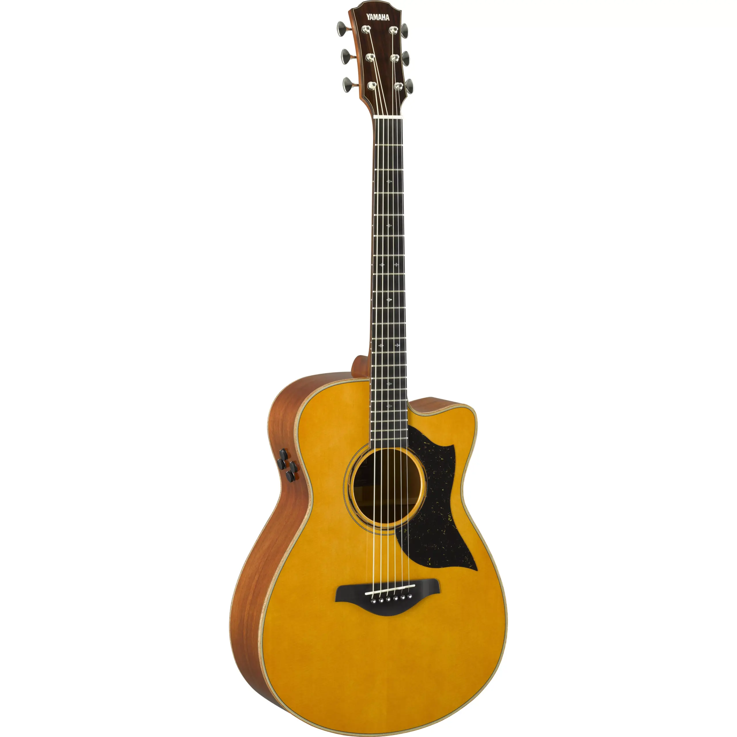 YAMAHA-AC5M-VN-Concert-Cutaway-Acoustic-Electric-Guitar Yamaha AC5M VN Acoustic Guitar - Image 1