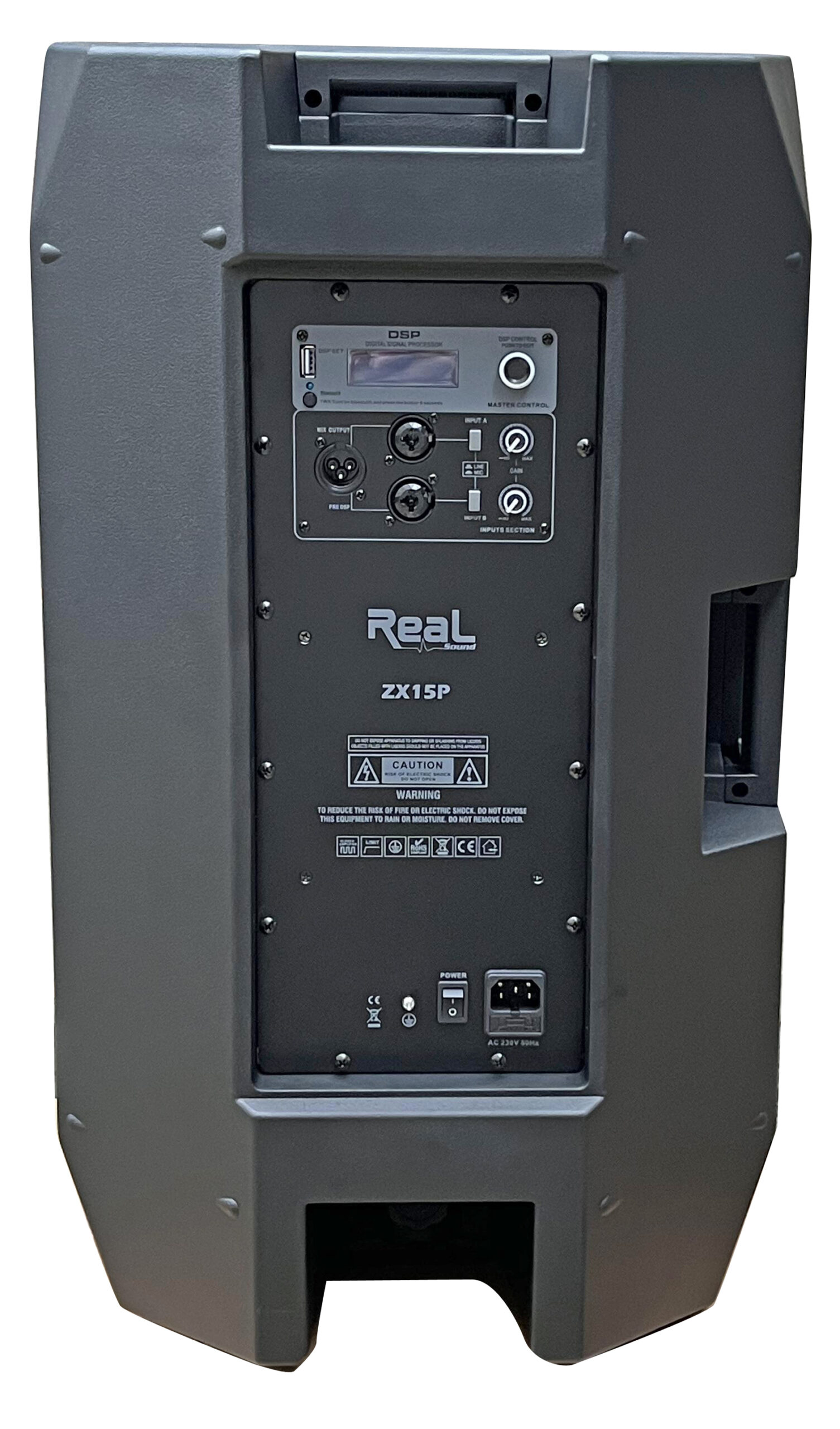 Real Sound ZX15P Active 15