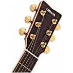 Yamaha LJ6 Natural ARE Acoustic Guitar