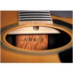 Yamaha LL16 Brown Sunburst ARE Acoustic Guitar