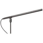 Audio Technica BP4071L Line And Gradient Condenser Microphone