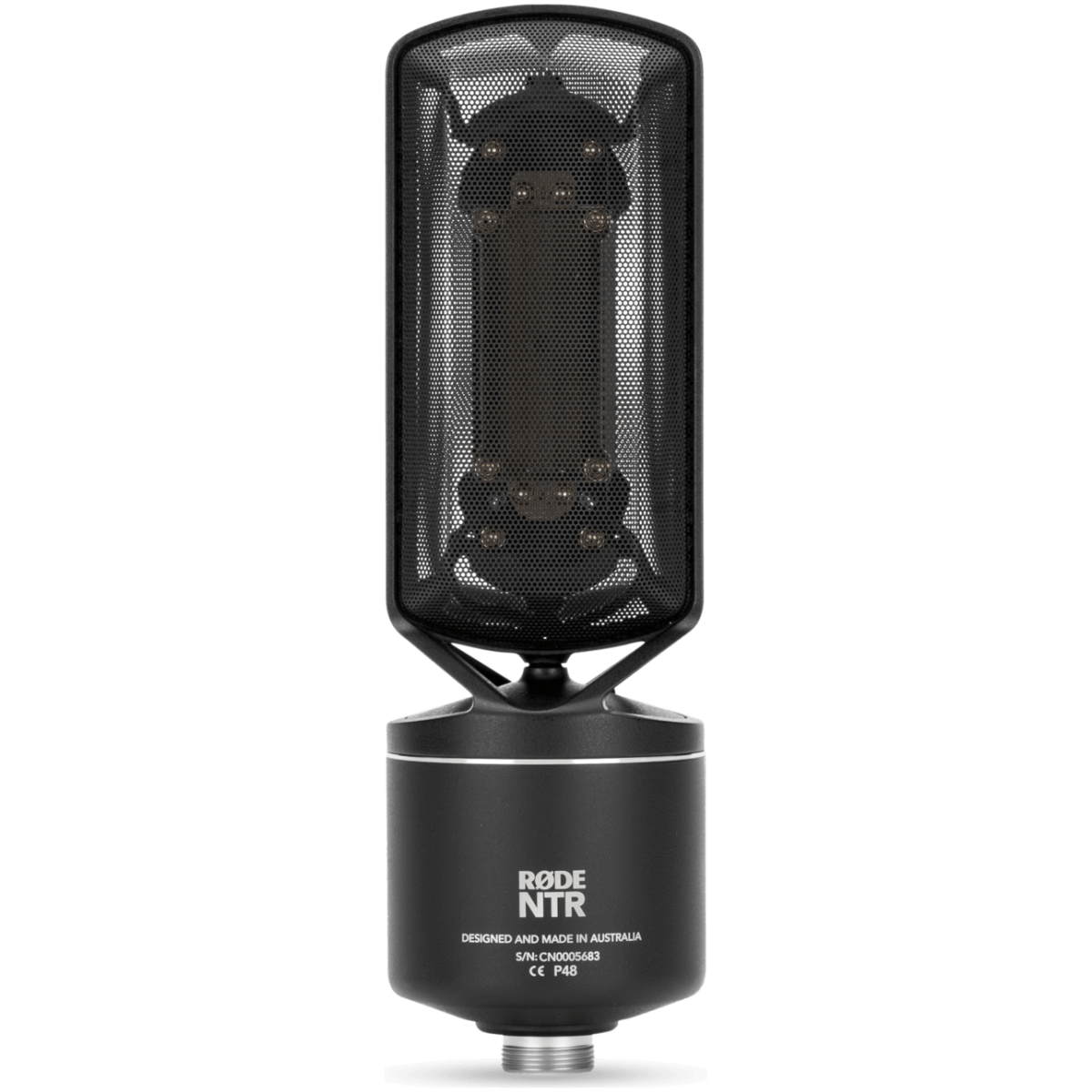 Rode NTR Active Ribbon Microphone - Image 2