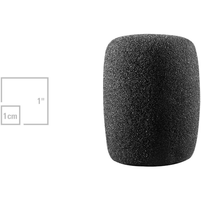 Audio-Technica AT8101 Microphone Windshield
