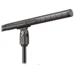 Audio Technica BP4073 Line Gradient Condenser Microphone