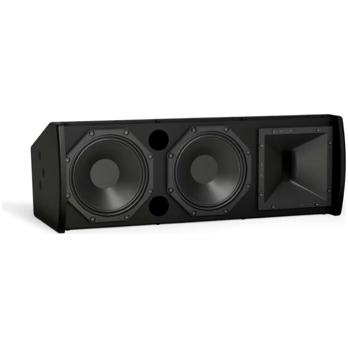 Bose Professional AMU206B ArenaMatch Utility Loudspeaker Black - Image 2