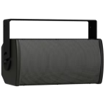 Bose Professional AMU105B ArenaMatch Utility Loudspeaker –Black