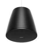 Bose Professional DM10P-Sub B  DesignMax Pendant Subwoofer – Black - Image 2