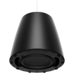 Bose Professional DM10P-Sub B  DesignMax Pendant Subwoofer – Black - Image 3