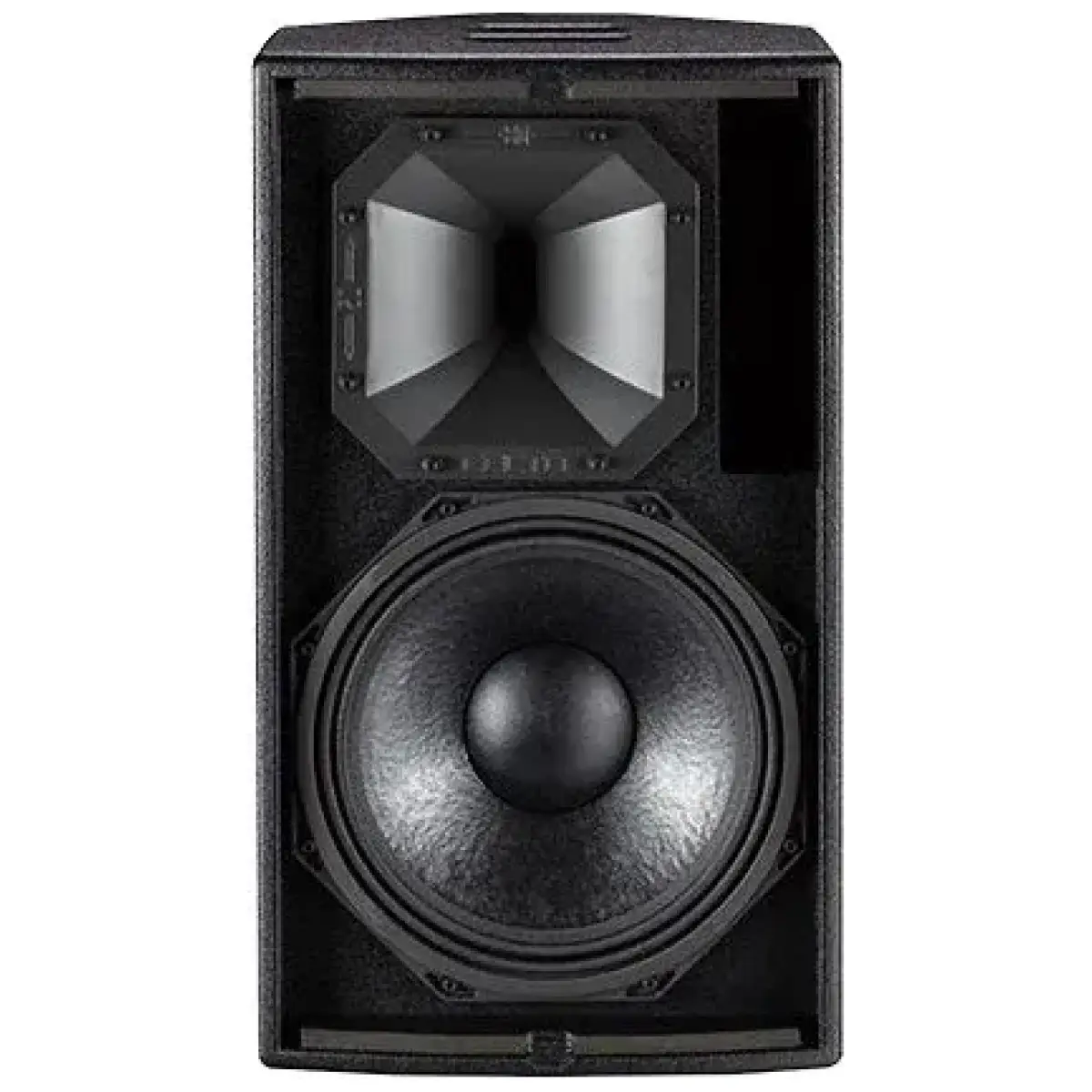 Celto Acoustique CT12 G2 Speaker - Image 2