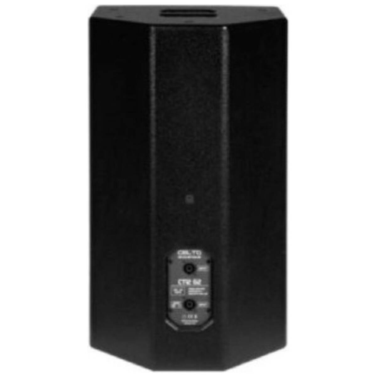 Celto Acoustique CT12 G2 Speaker - Image 3