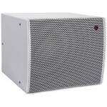 Celto Acoustique IFIX17S WHT Satellite Loudspeaker