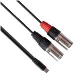rubiQube TCDXL Type C to dual XLR male 1.8m