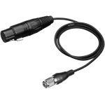 Audio Technica XLRcH Microphone Input Cable for cH-Style Bodypack Transmitter